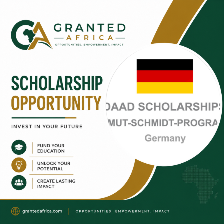 DAAD HELMUT-SCHMIDT PROGRAMME 2027 — PUBLIC POLICY AND GOOD GOVERNANCE (GERMANY)