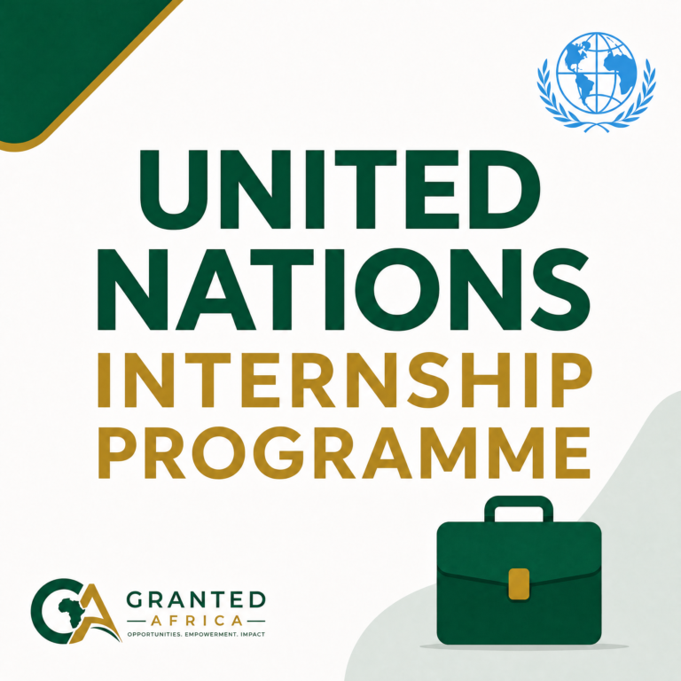 Bannière d'opportunité pour le Programme de stages des Nations Unies